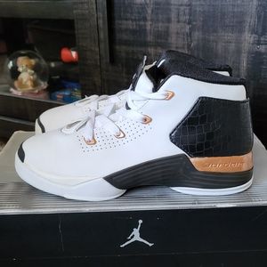 2002 Air Jordan 17+ PS Copper
